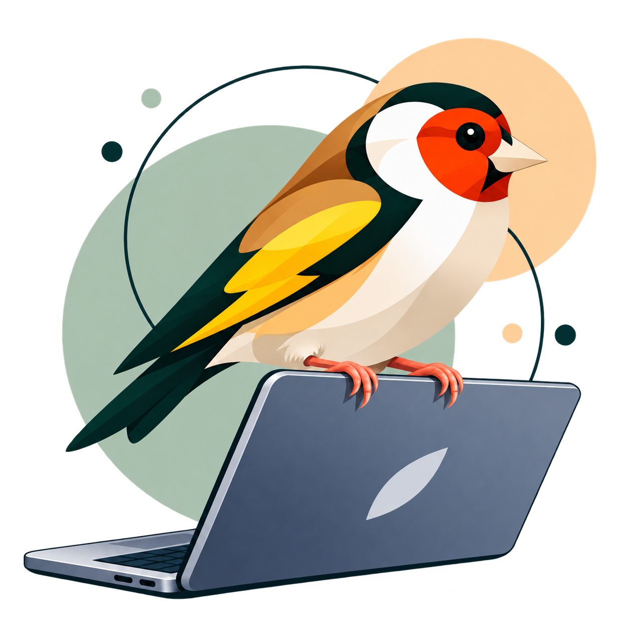 Goldfinch perched on a laptop